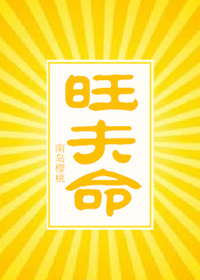 官场：宦海绯途