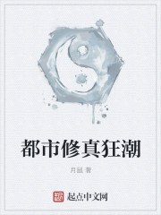 亮剑之保家卫国